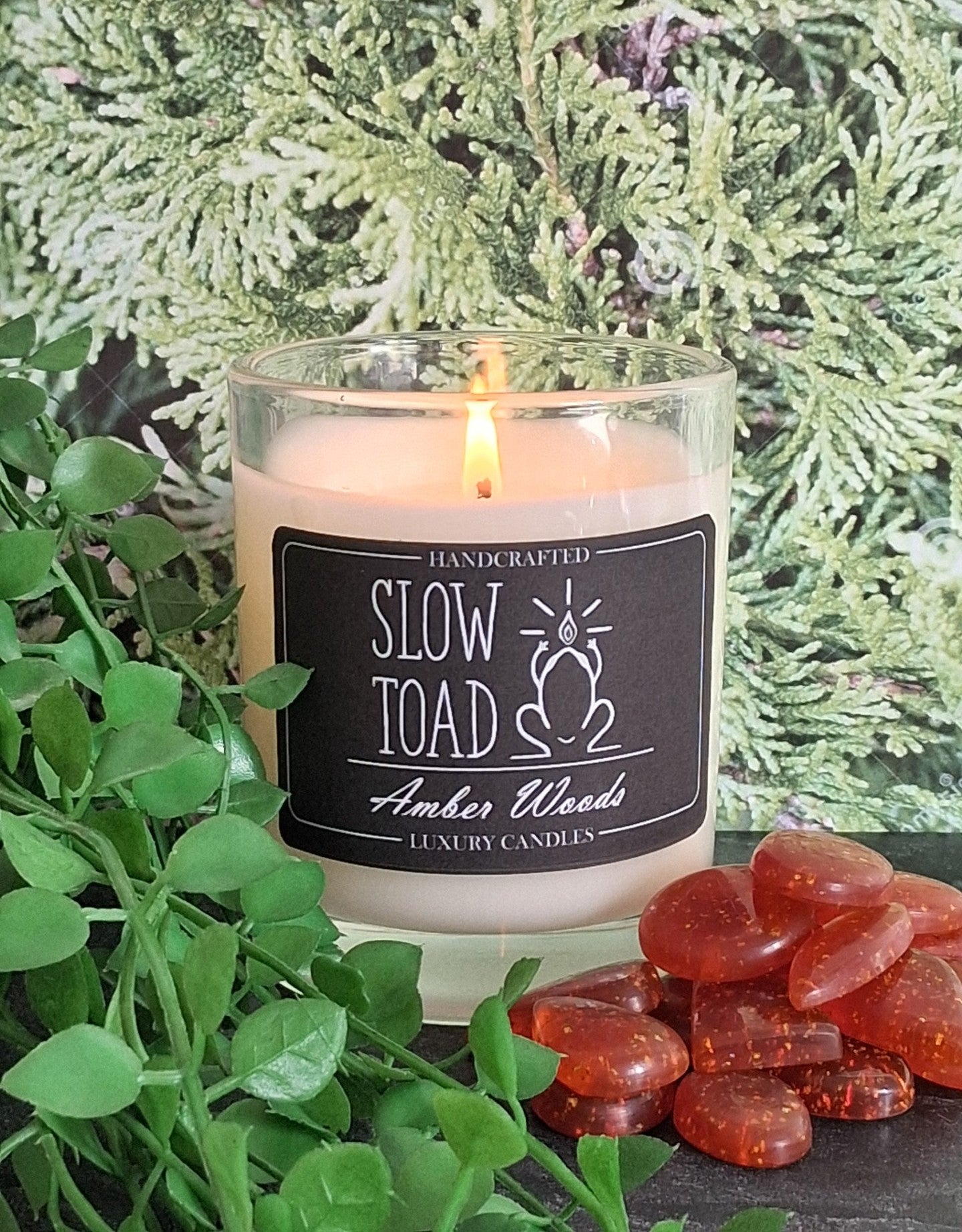 Amber Woods Scented Candle