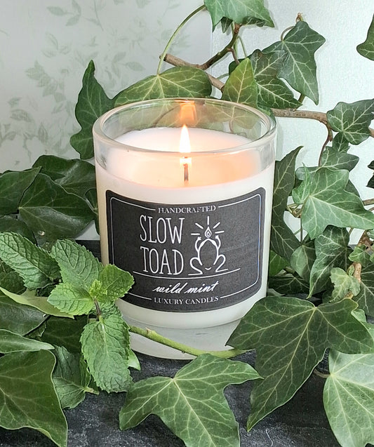 Wild Mint Scented Candle